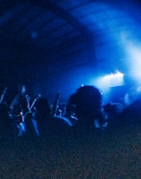 In a dimly lit indoor setting, silhouettes of people are visible, with their arms raised, seemingly enjoying a lively music event. The scene is bathed in vibrant blue lighting, creating an energetic and immersive atmosphere.
